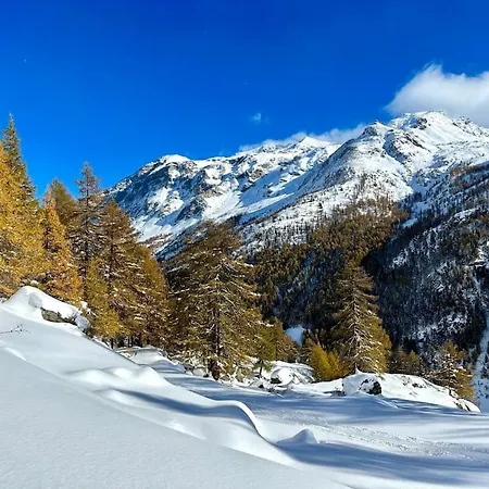 Valgrisa 1 - Alpine Adventure *