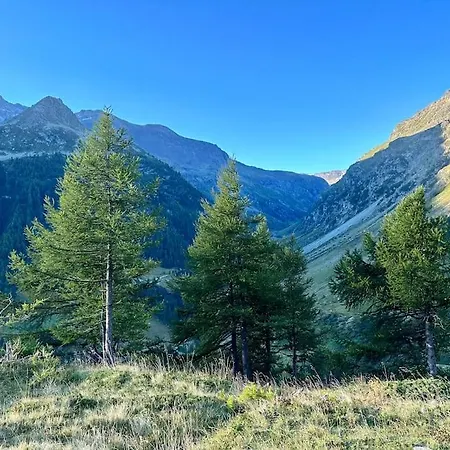 Appartement Valgrisa 1 - Alpine Adventure *